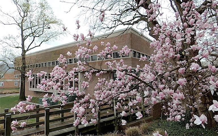 Miller Library